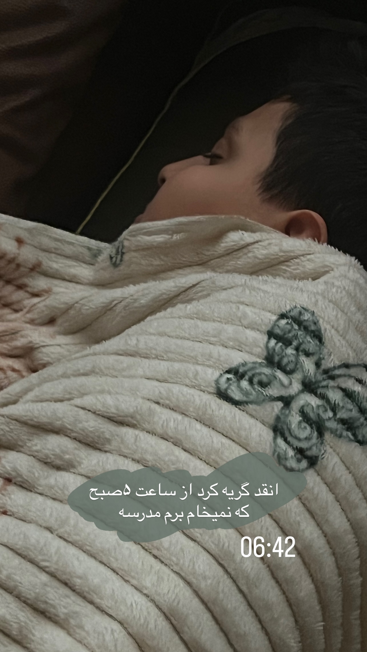  جدید ترین استوری اینستاگرام زینب سادات نوفرستی