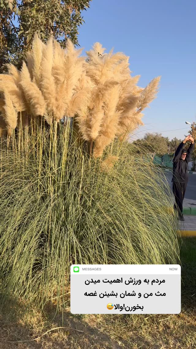  جدید ترین استوری اینستاگرام زینب سادات نوفرستی