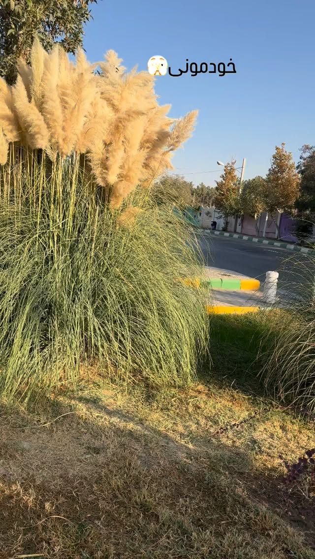  جدید ترین استوری اینستاگرام زینب سادات نوفرستی