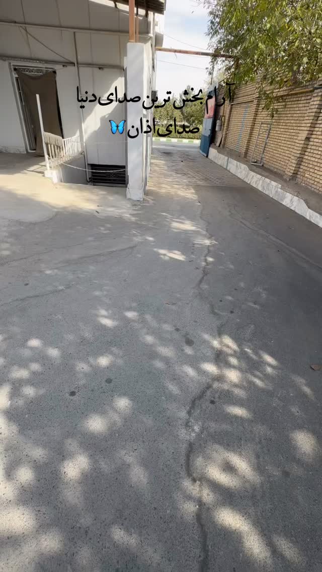  جدید ترین استوری اینستاگرام زینب سادات نوفرستی