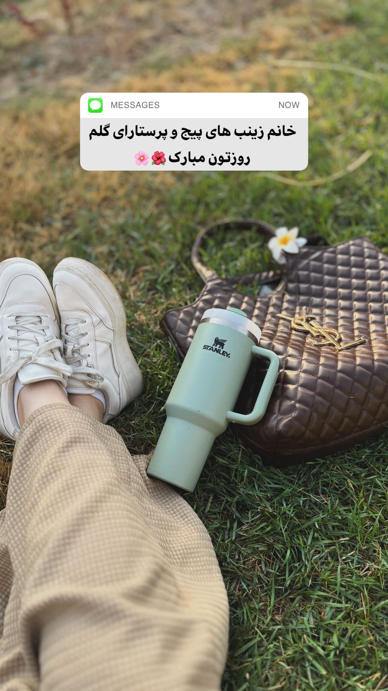  جدید ترین استوری اینستاگرام زینب سادات نوفرستی