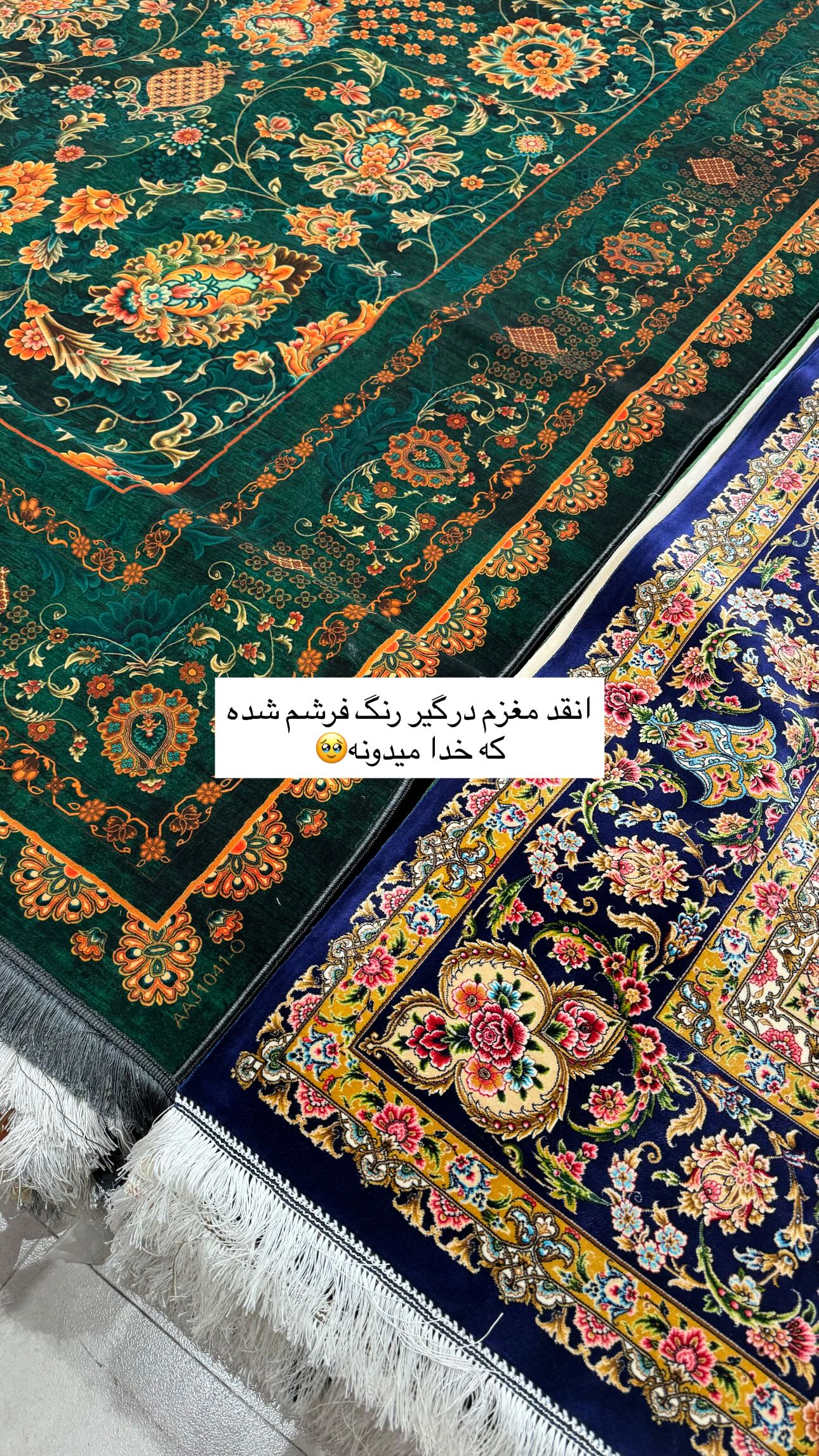  جدید ترین استوری اینستاگرام زینب سادات نوفرستی