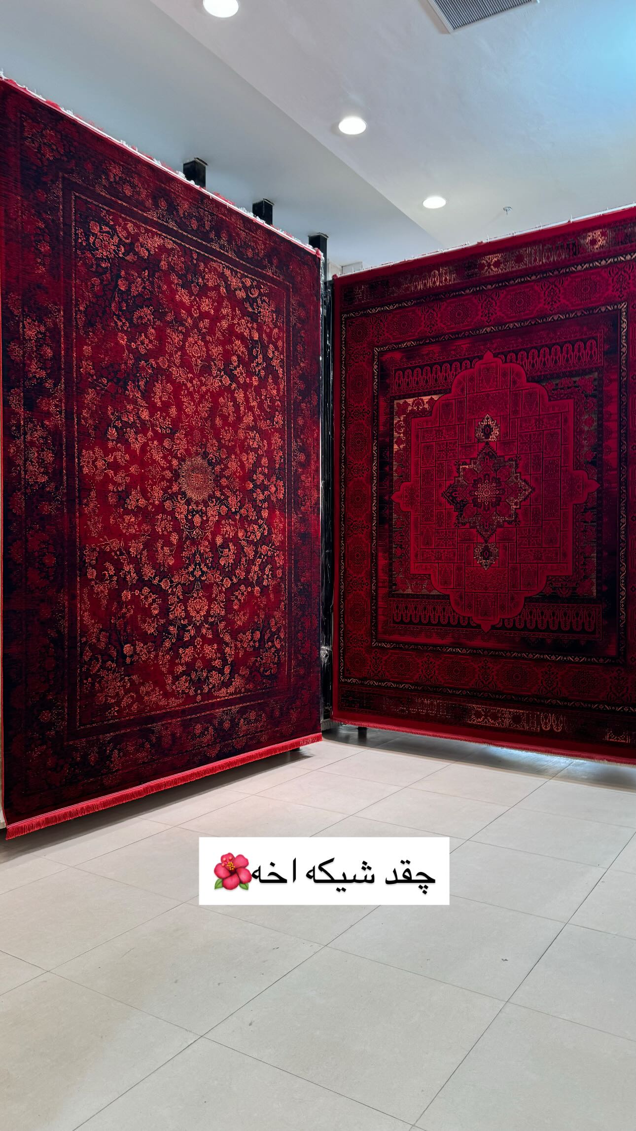  جدید ترین استوری اینستاگرام زینب سادات نوفرستی