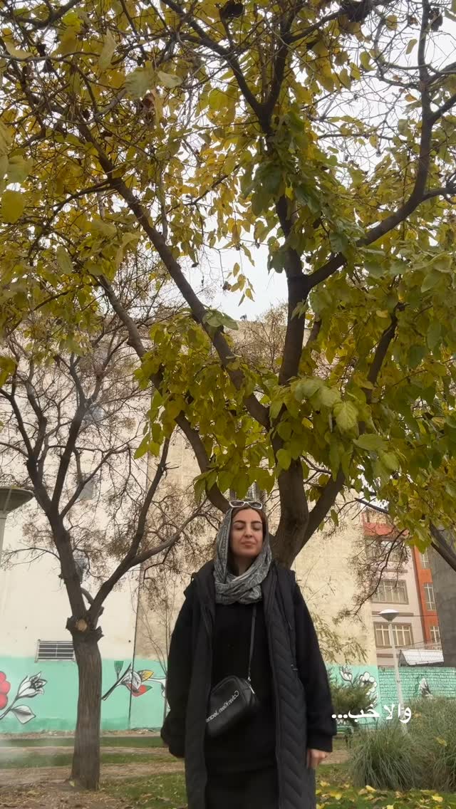  جدید ترین استوری اینستاگرام زینب سادات نوفرستی