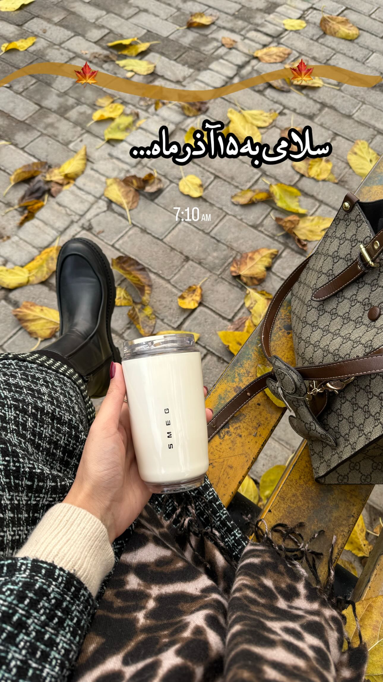  جدید ترین استوری اینستاگرام زینب سادات نوفرستی