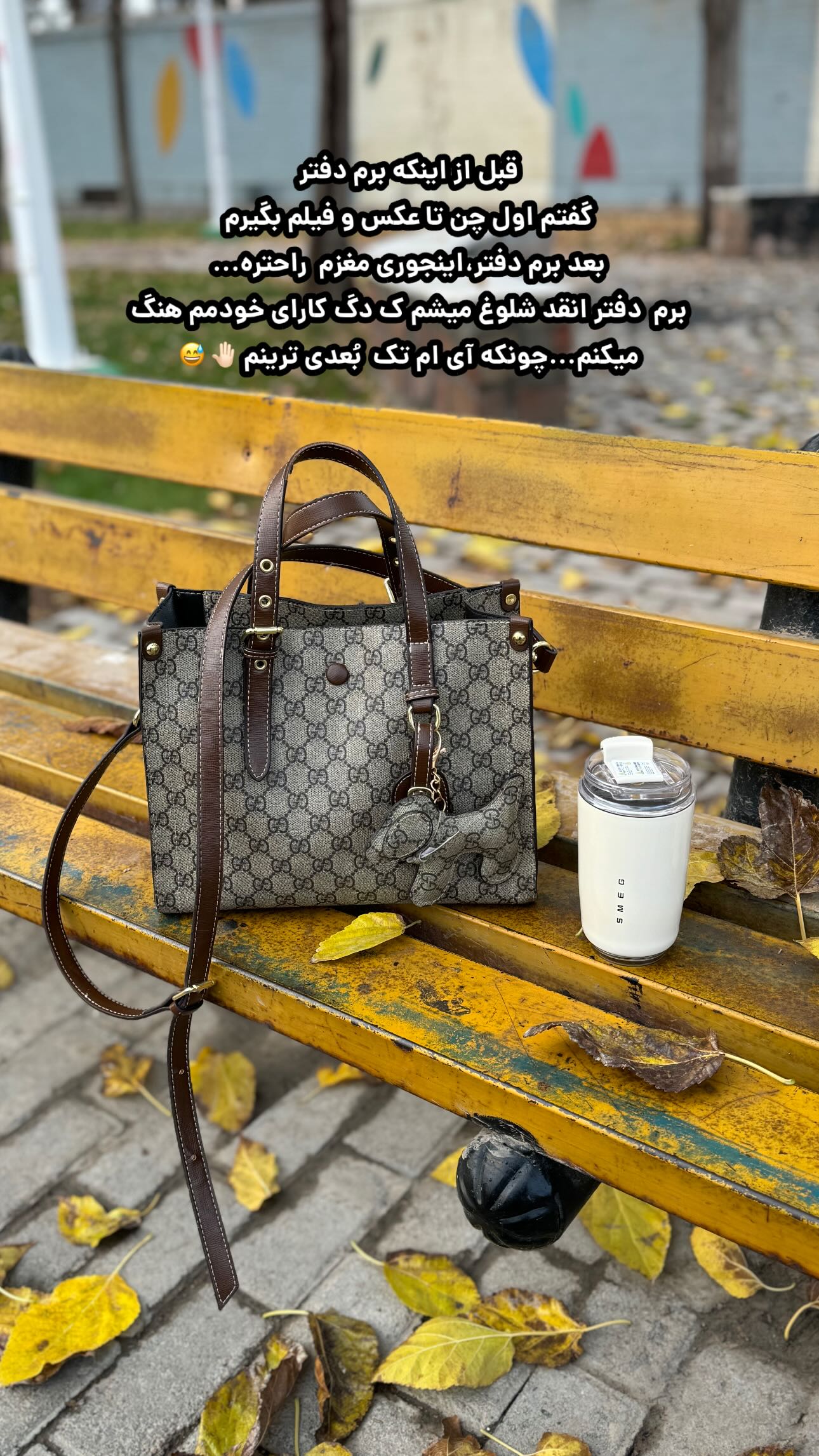  جدید ترین استوری اینستاگرام زینب سادات نوفرستی