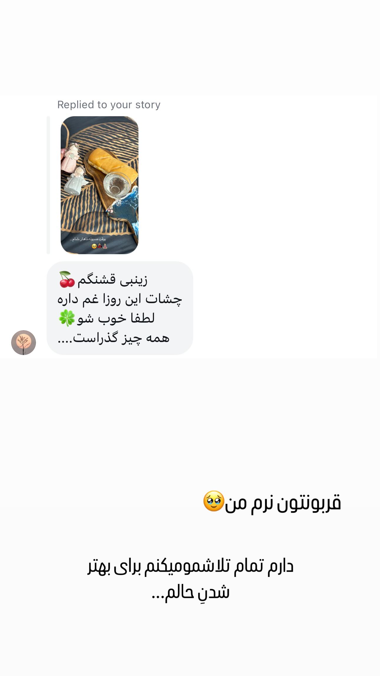  جدید ترین استوری اینستاگرام زینب سادات نوفرستی