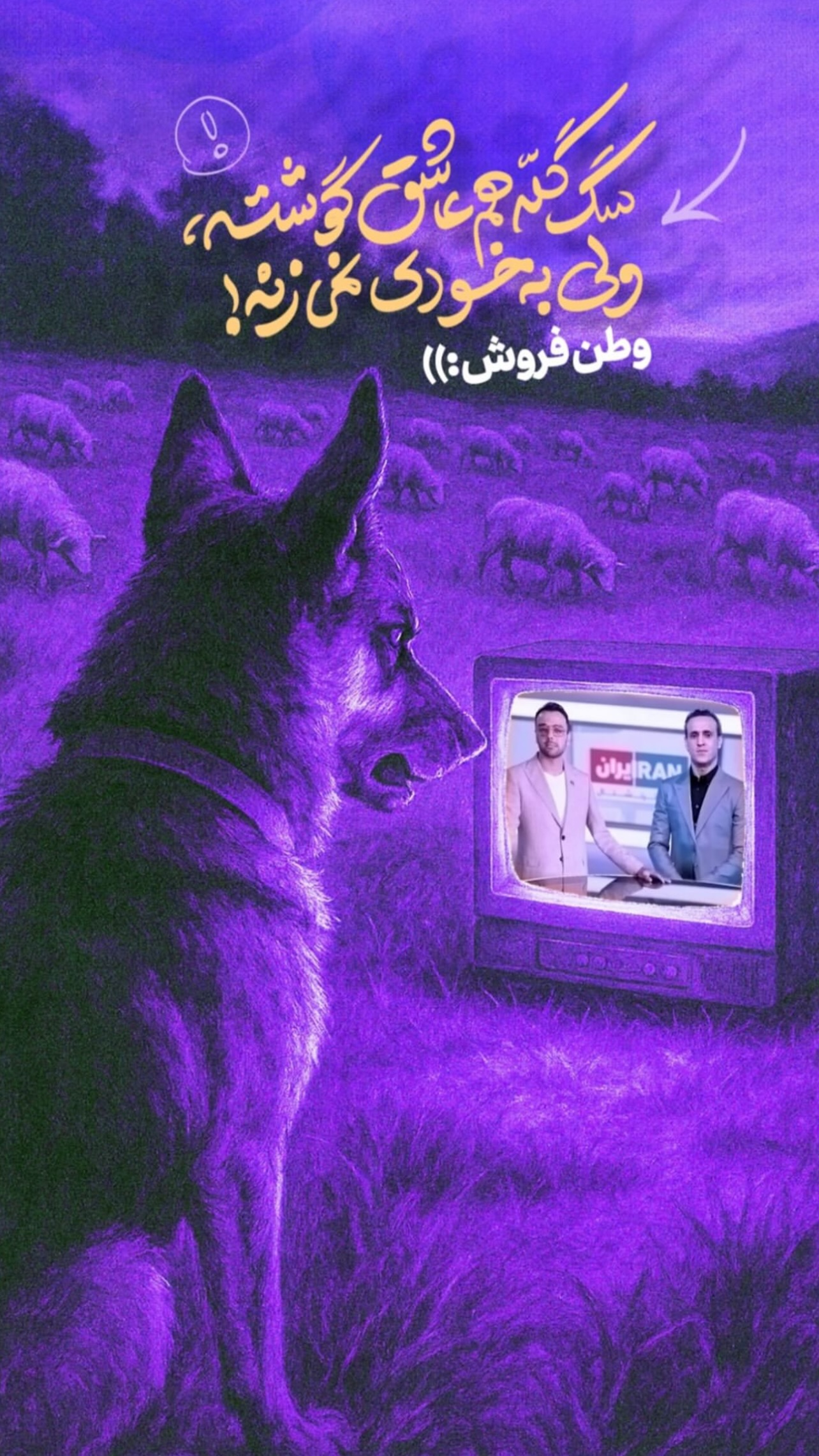 جدید ترین استوری اینستاگرام زینب سادات نوفرستی