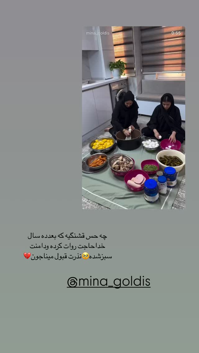  جدید ترین استوری اینستاگرام زینب سادات نوفرستی