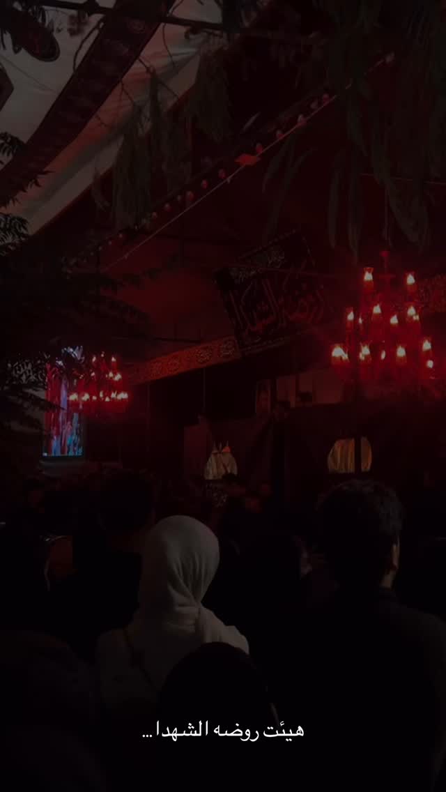  جدید ترین استوری اینستاگرام زینب سادات نوفرستی
