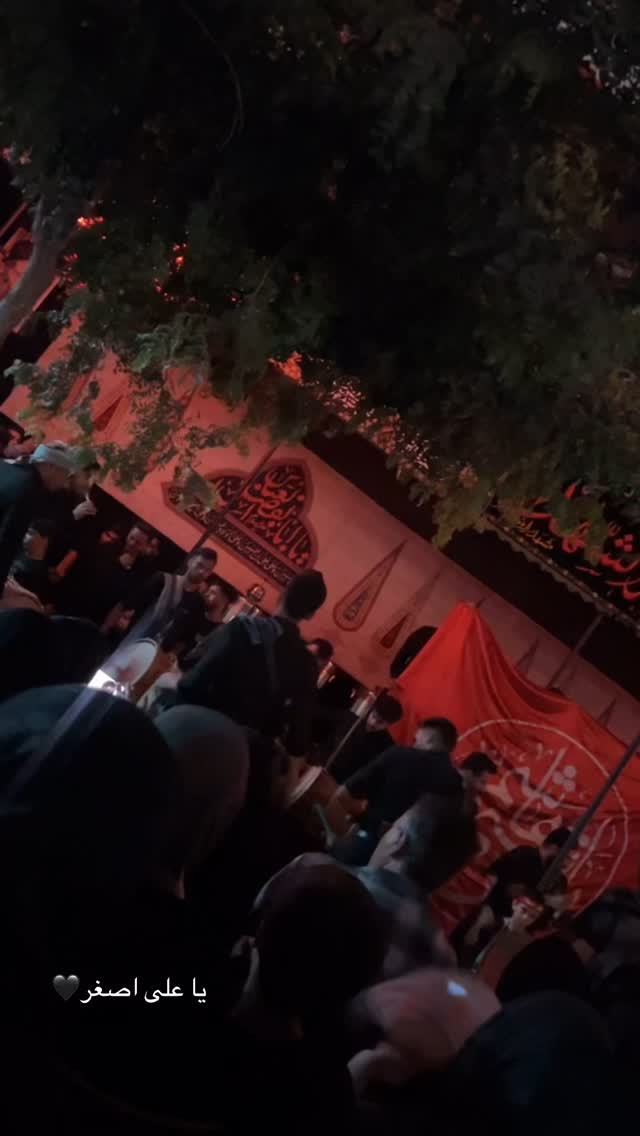  جدید ترین استوری اینستاگرام زینب سادات نوفرستی