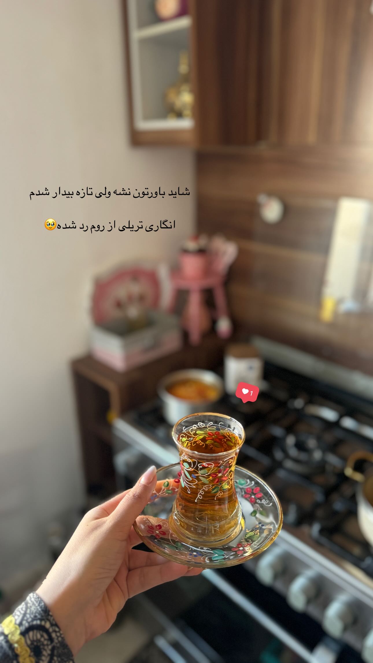  جدید ترین استوری اینستاگرام زینب سادات نوفرستی