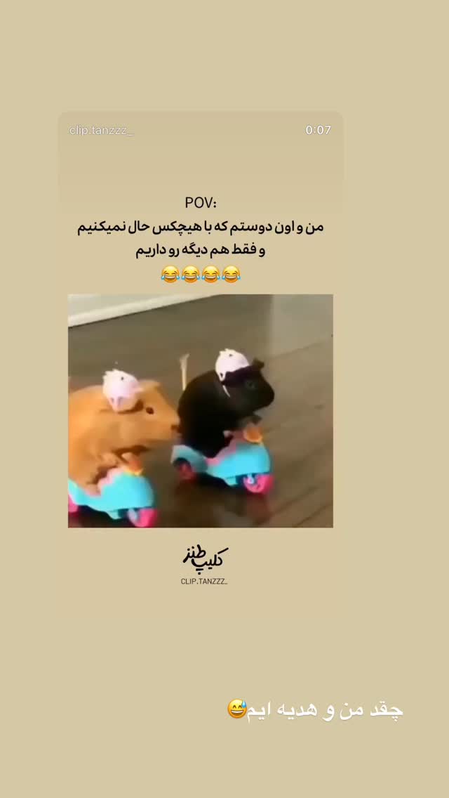  جدید ترین استوری اینستاگرام زینب سادات نوفرستی