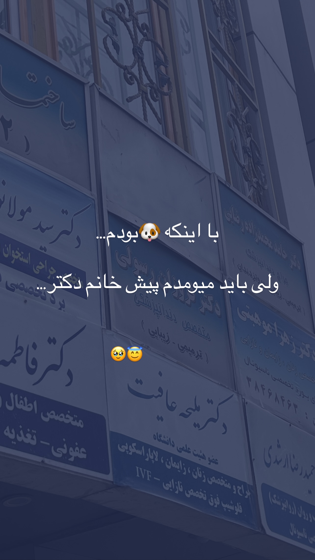  جدید ترین استوری اینستاگرام زینب سادات نوفرستی