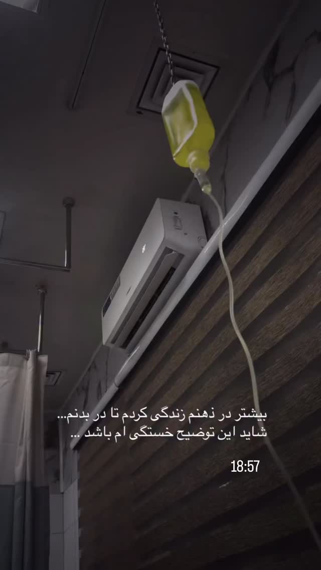  جدید ترین استوری اینستاگرام زینب سادات نوفرستی