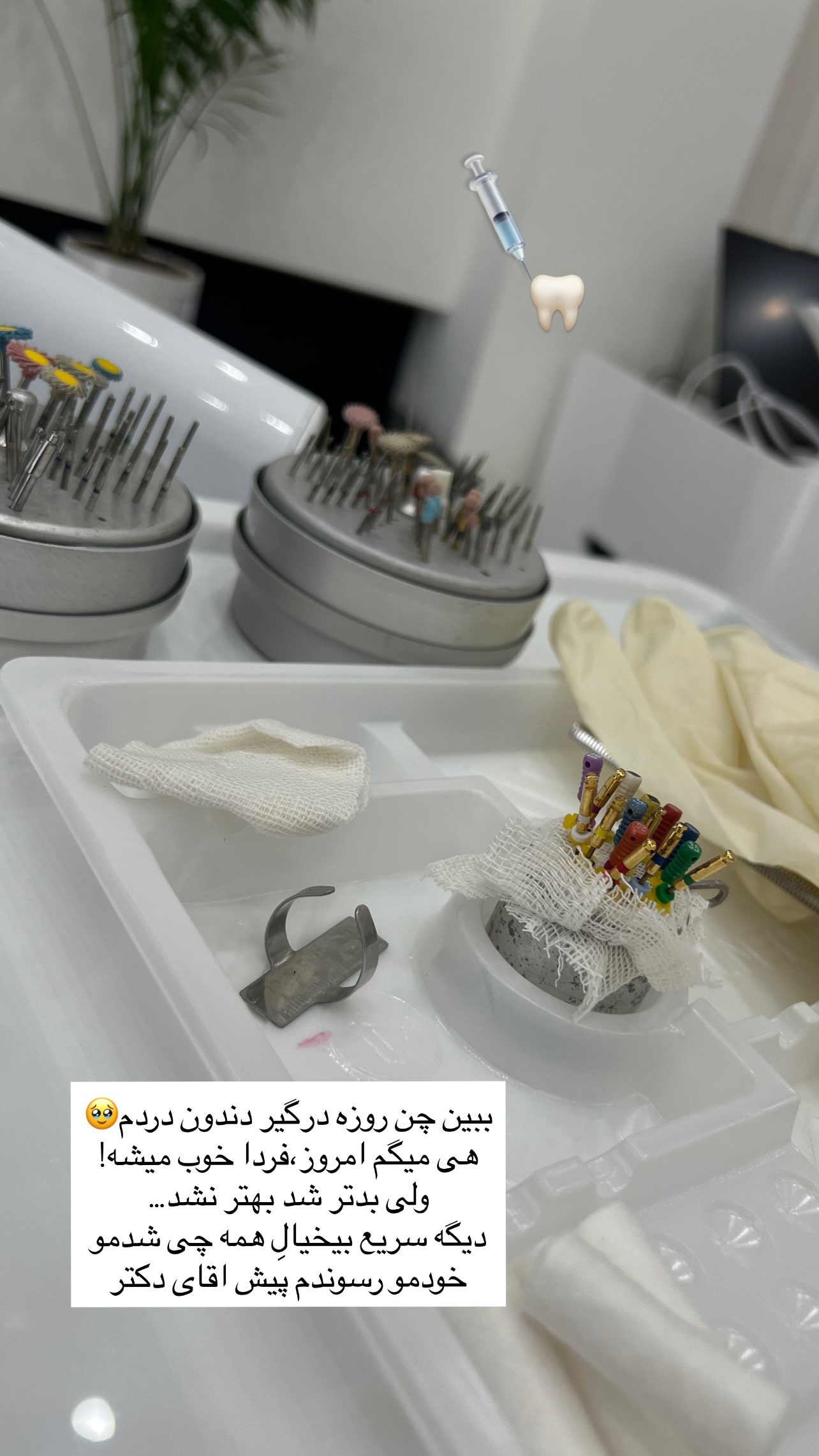  جدید ترین استوری اینستاگرام زینب سادات نوفرستی