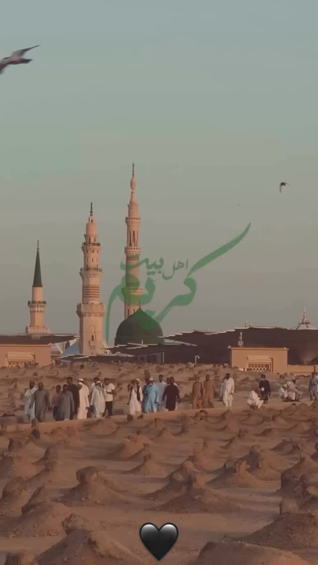  جدید ترین استوری اینستاگرام زینب سادات نوفرستی