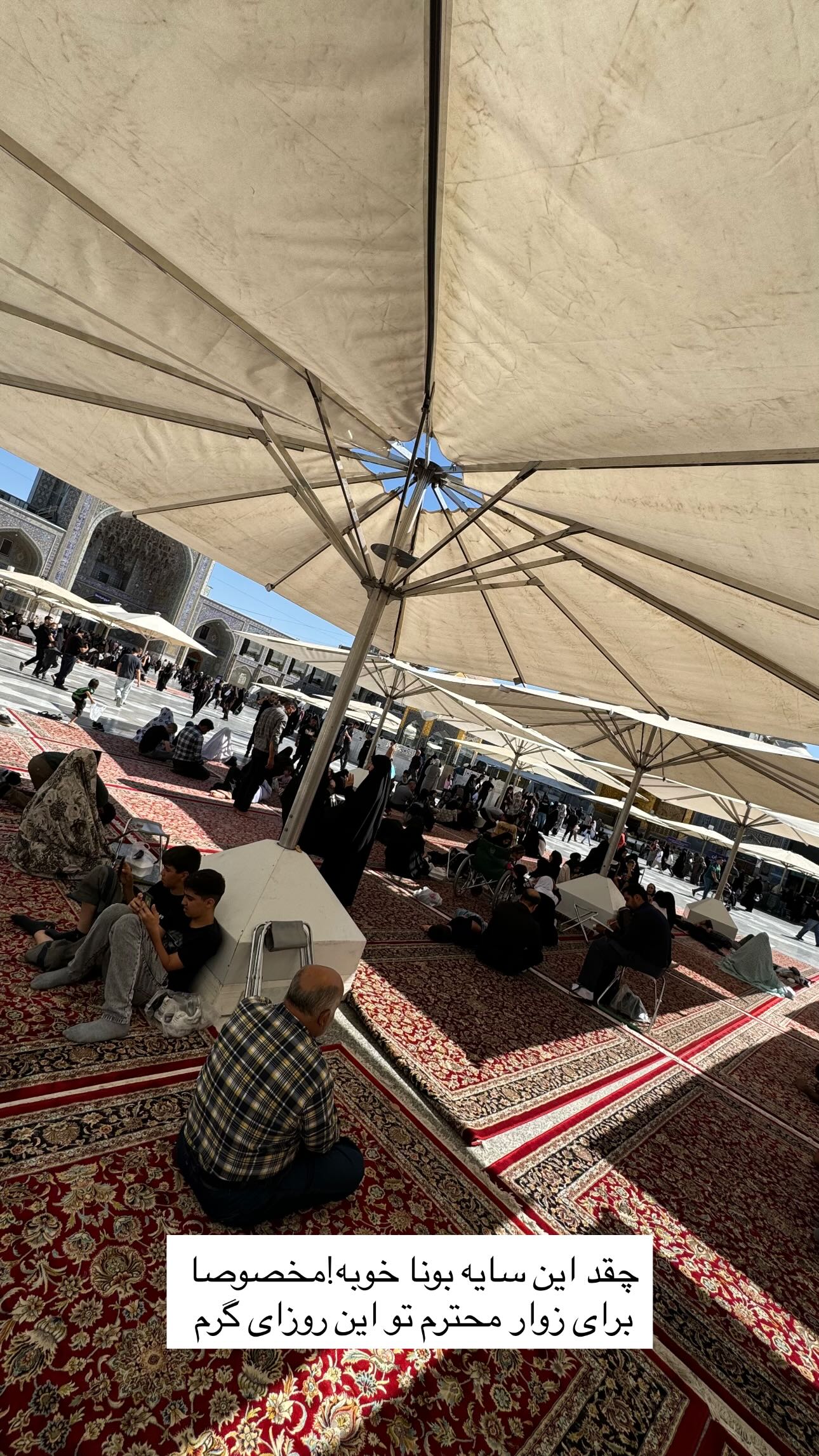 جدید ترین استوری اینستاگرام زینب سادات نوفرستی