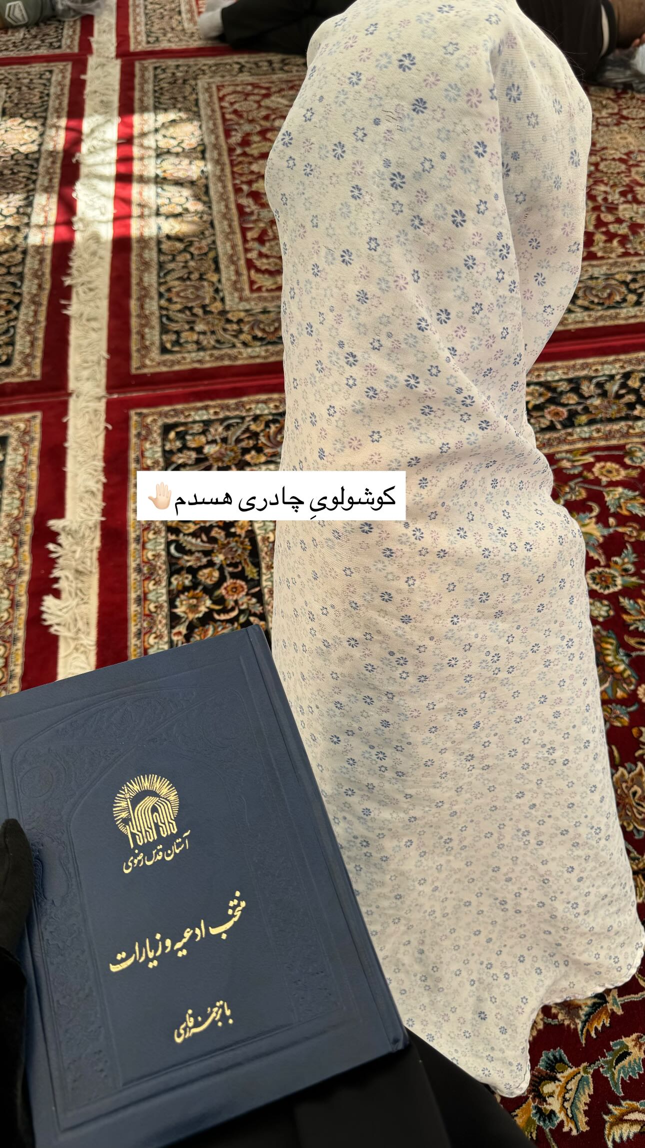  جدید ترین استوری اینستاگرام زینب سادات نوفرستی