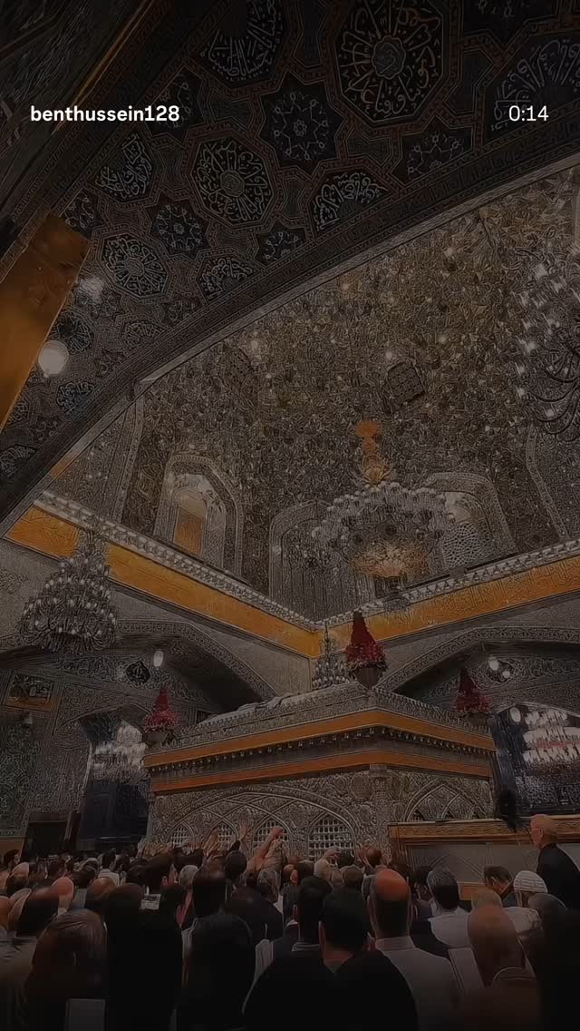  جدید ترین استوری اینستاگرام زینب سادات نوفرستی