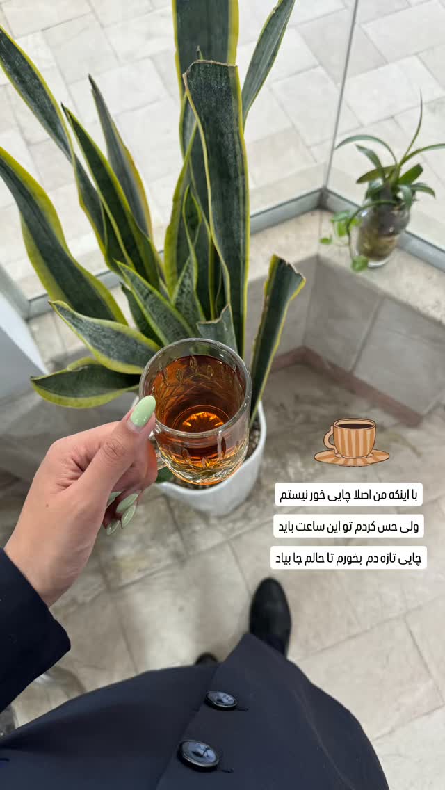  جدید ترین استوری اینستاگرام زینب سادات نوفرستی