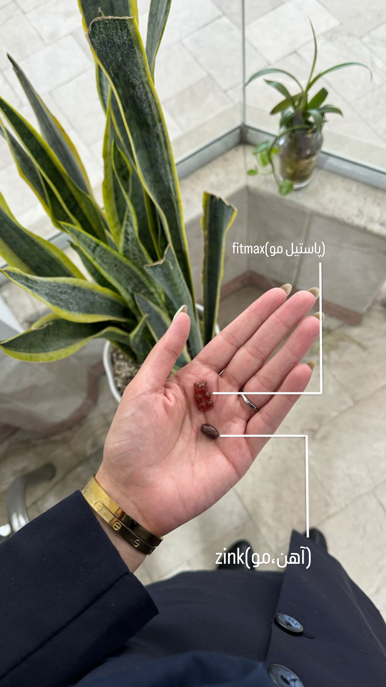  جدید ترین استوری اینستاگرام زینب سادات نوفرستی