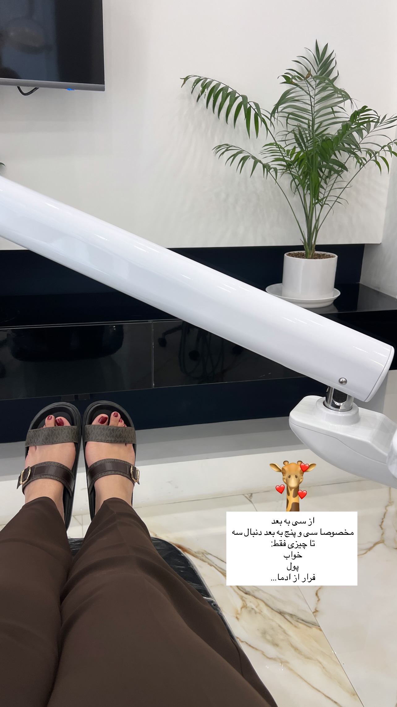  جدید ترین استوری اینستاگرام زینب سادات نوفرستی