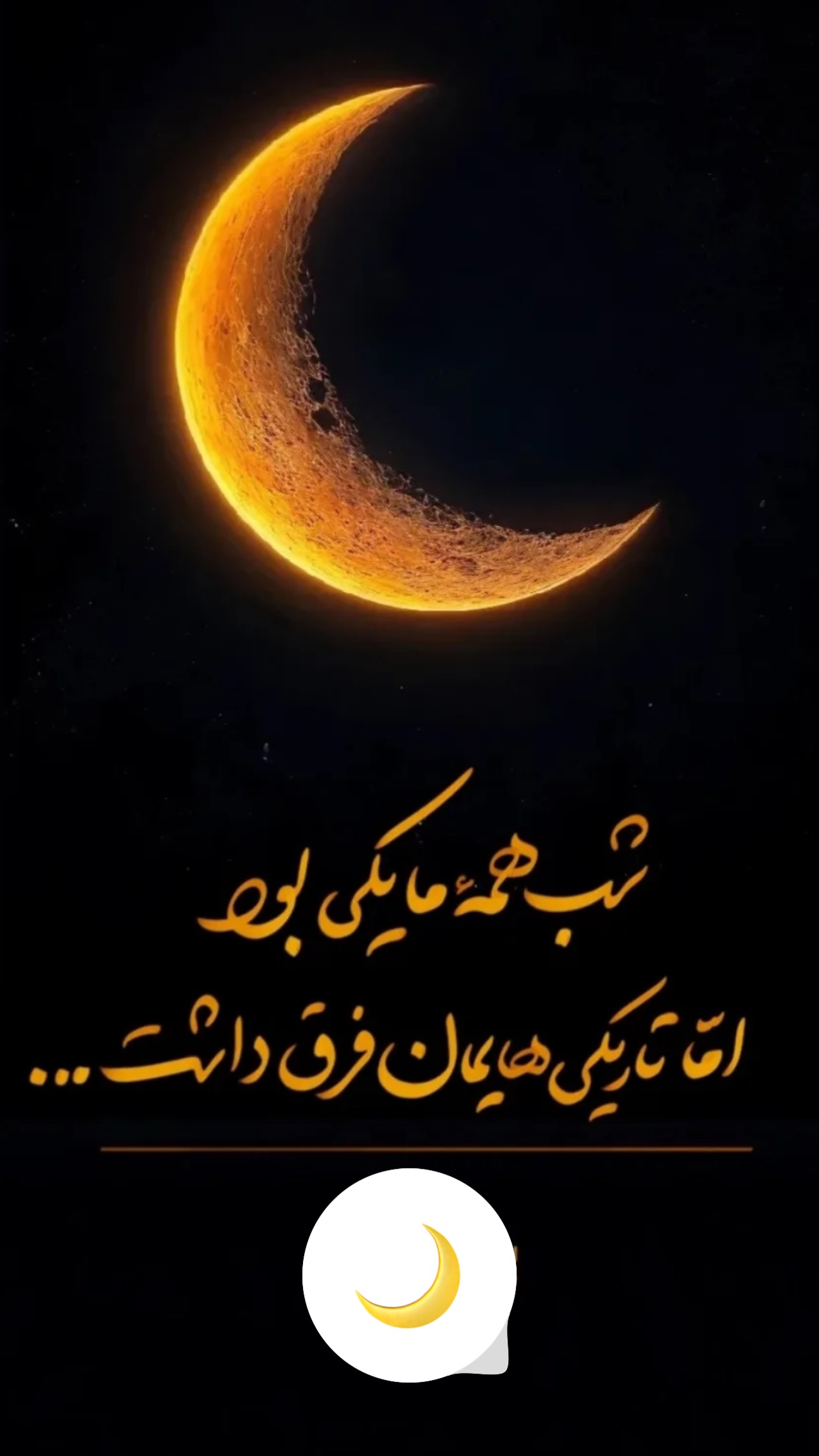  جدید ترین استوری اینستاگرام زینب سادات نوفرستی