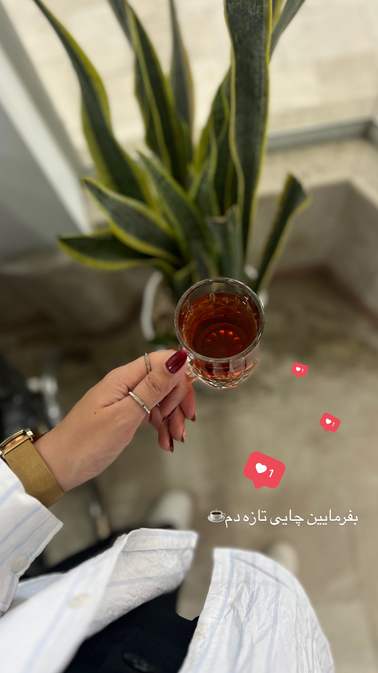  جدید ترین استوری اینستاگرام زینب سادات نوفرستی