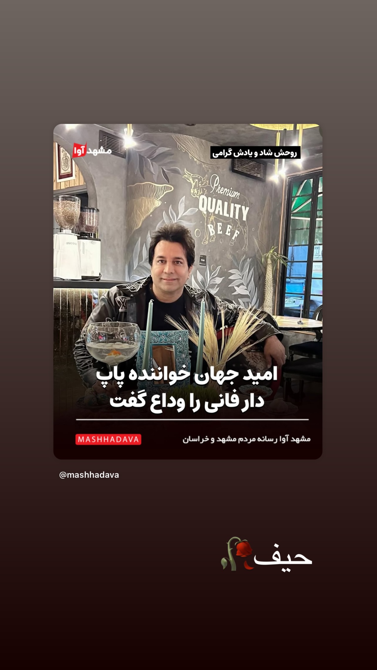  جدید ترین استوری اینستاگرام زینب سادات نوفرستی