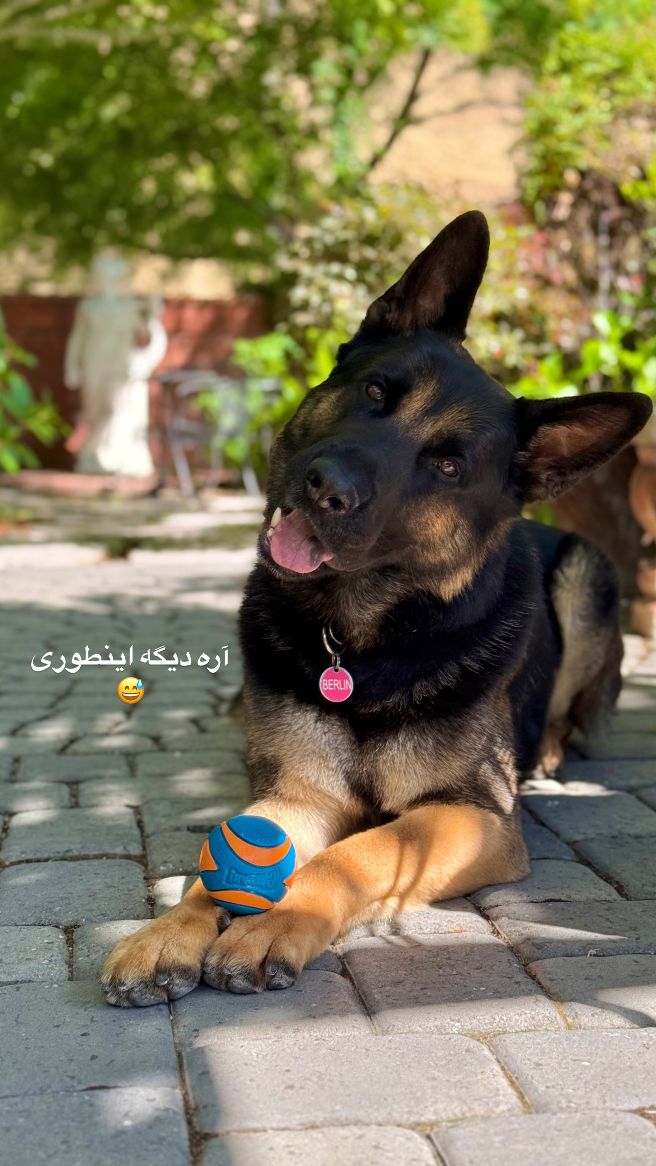  جدید ترین استوری اینستاگرام صدف مسائلی