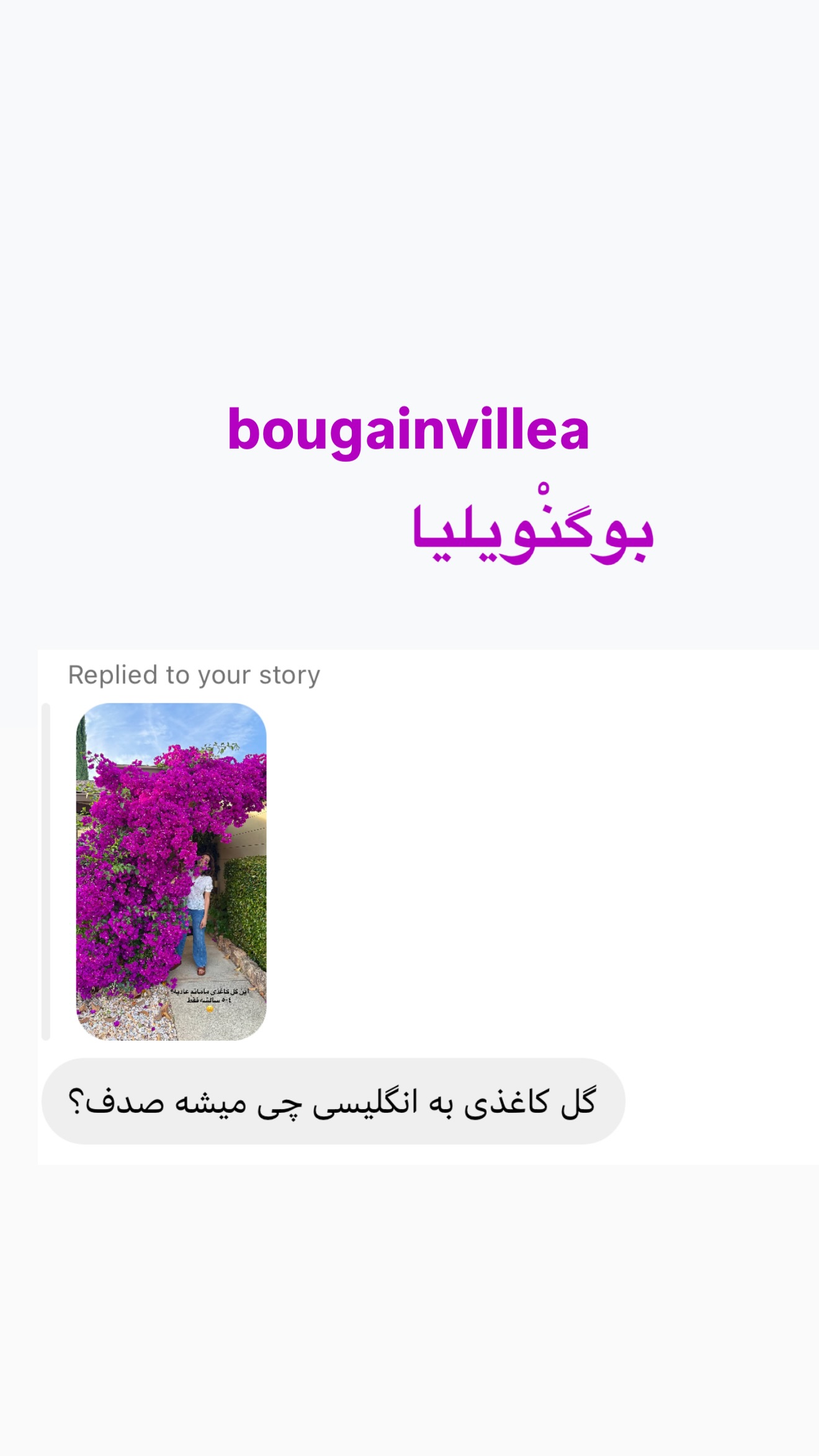  جدید ترین استوری اینستاگرام صدف مسائلی