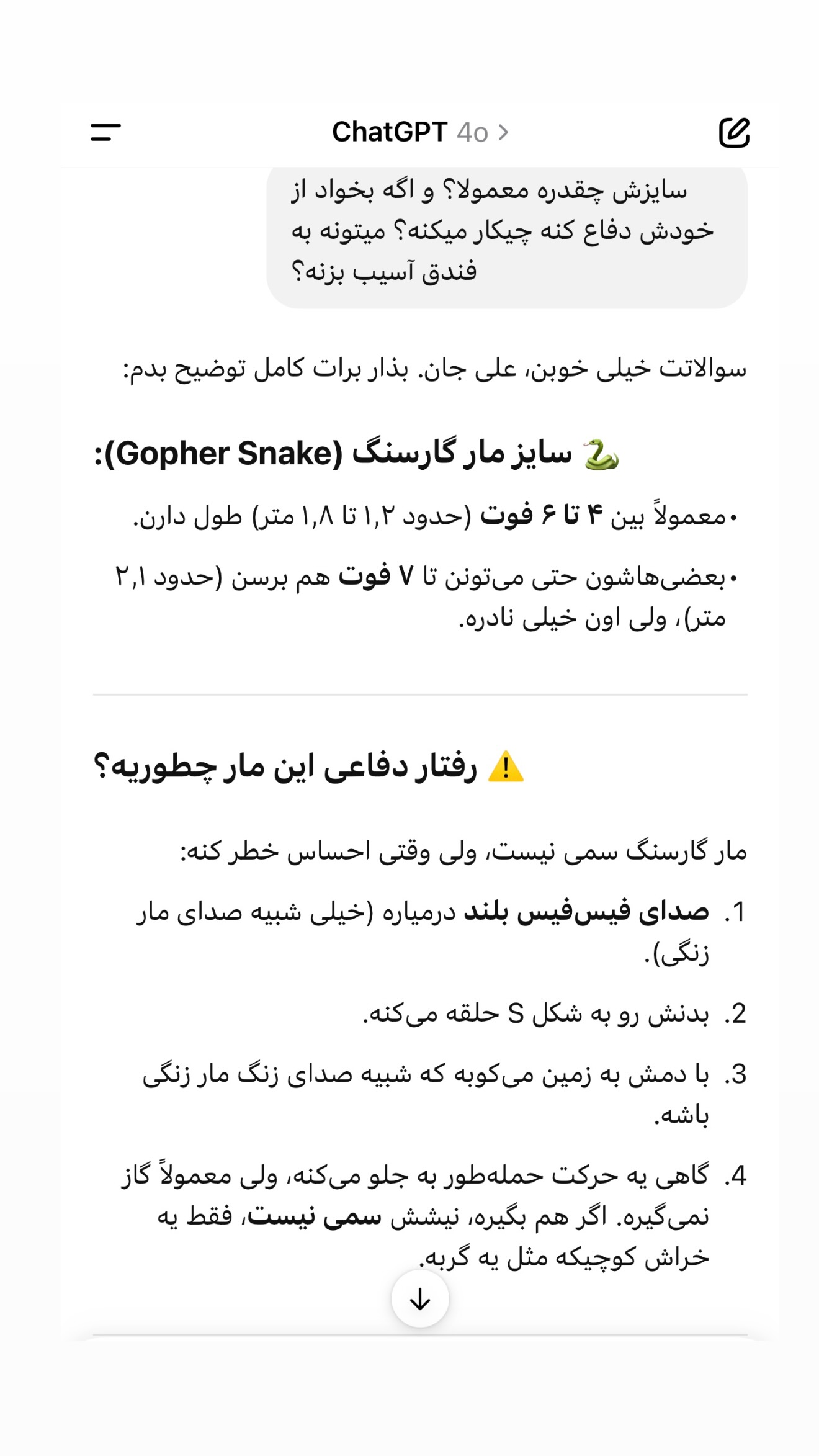  جدید ترین استوری اینستاگرام صدف مسائلی