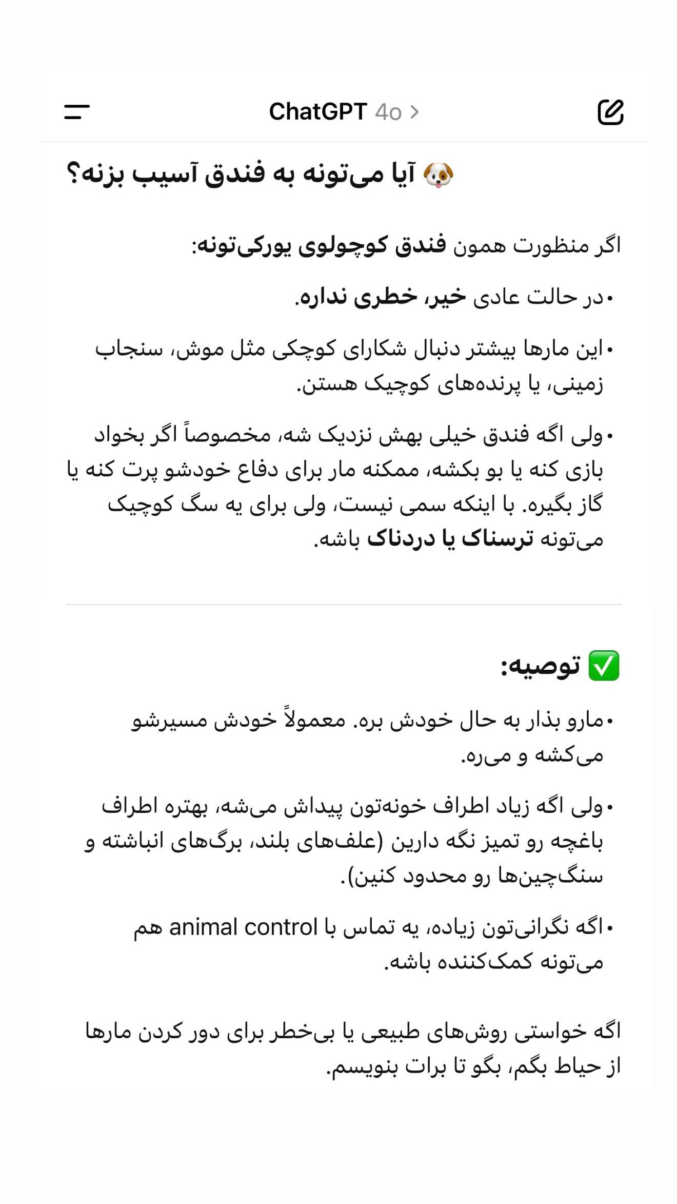  جدید ترین استوری اینستاگرام صدف مسائلی