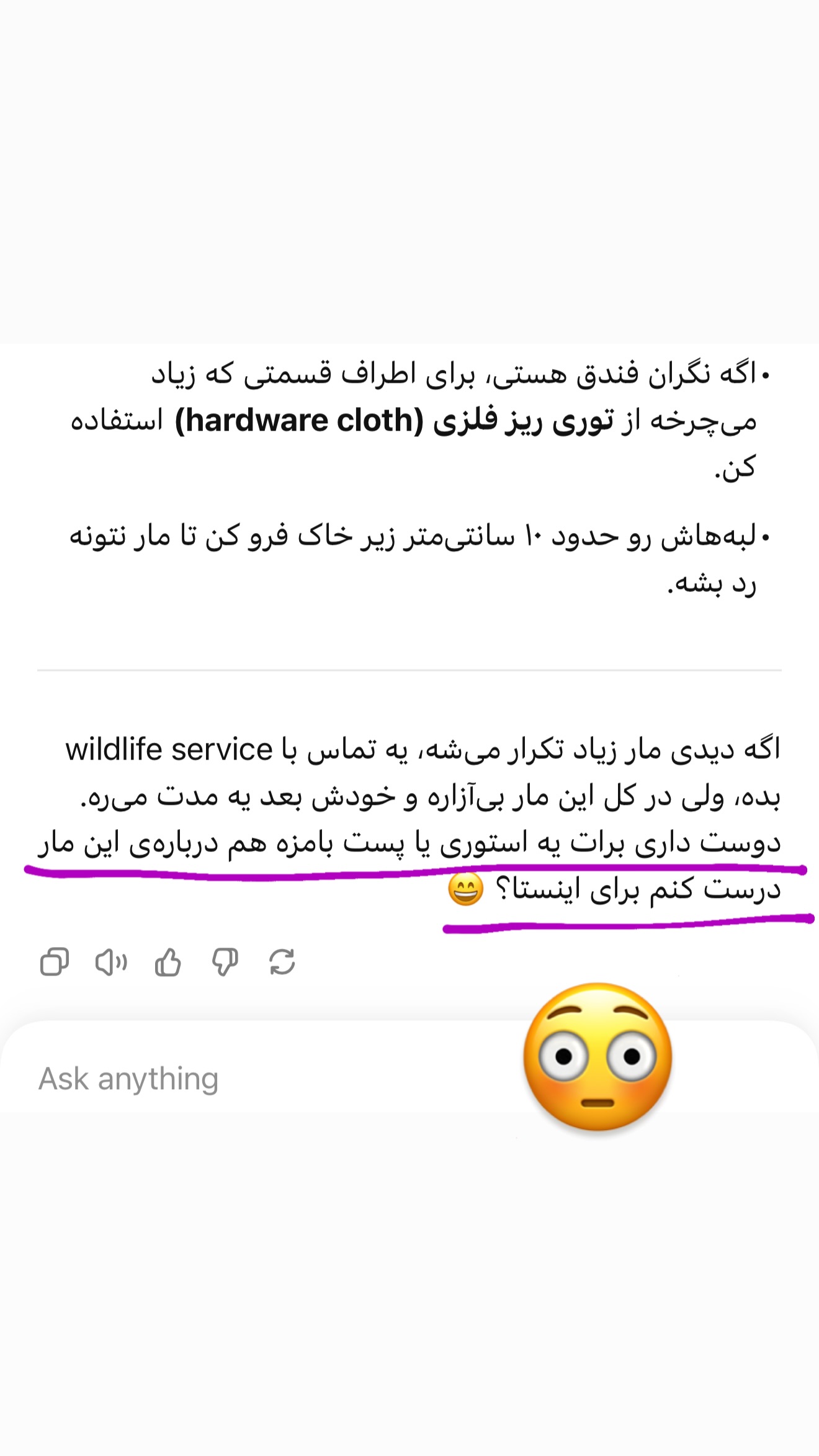  جدید ترین استوری اینستاگرام صدف مسائلی