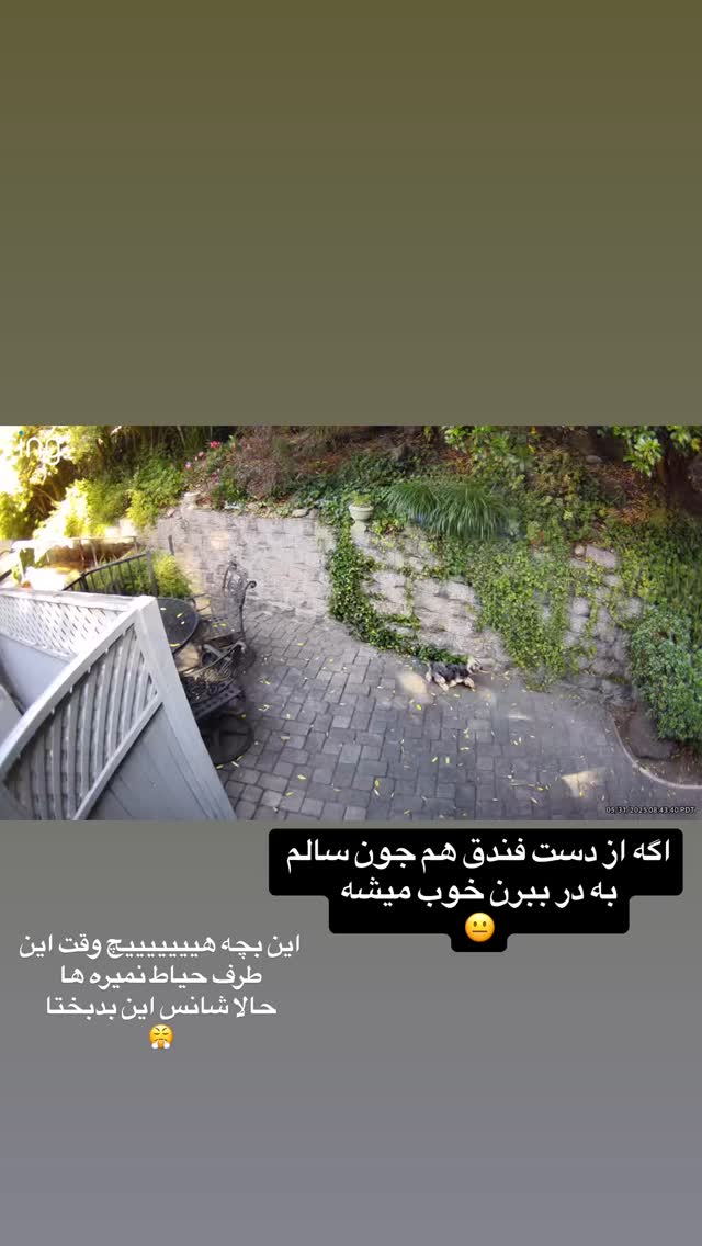  جدید ترین استوری اینستاگرام صدف مسائلی
