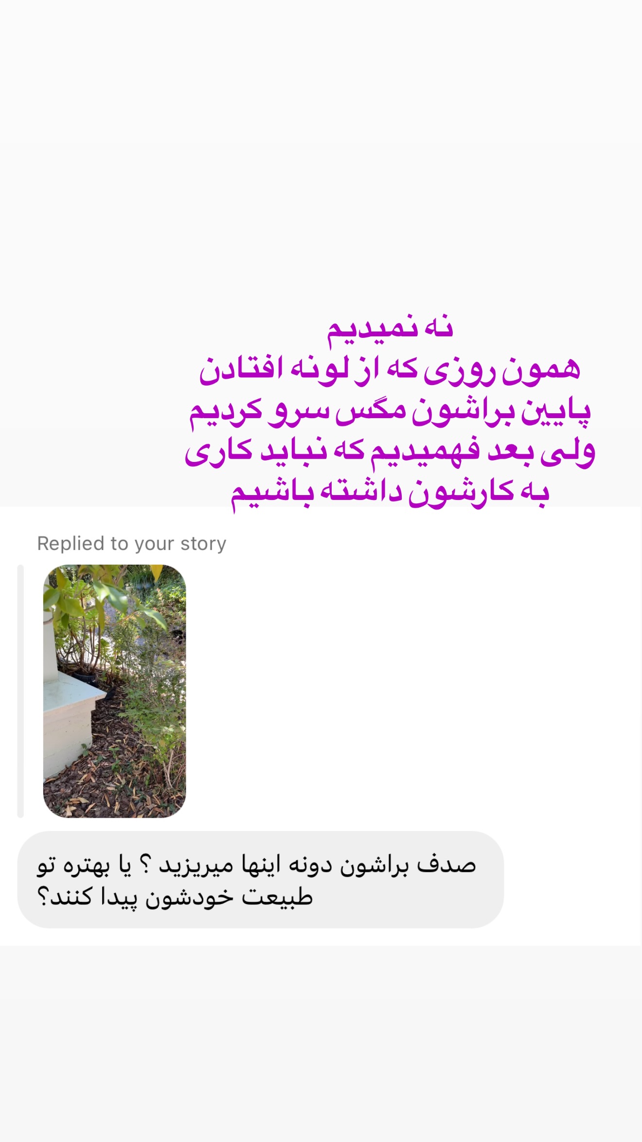  جدید ترین استوری اینستاگرام صدف مسائلی