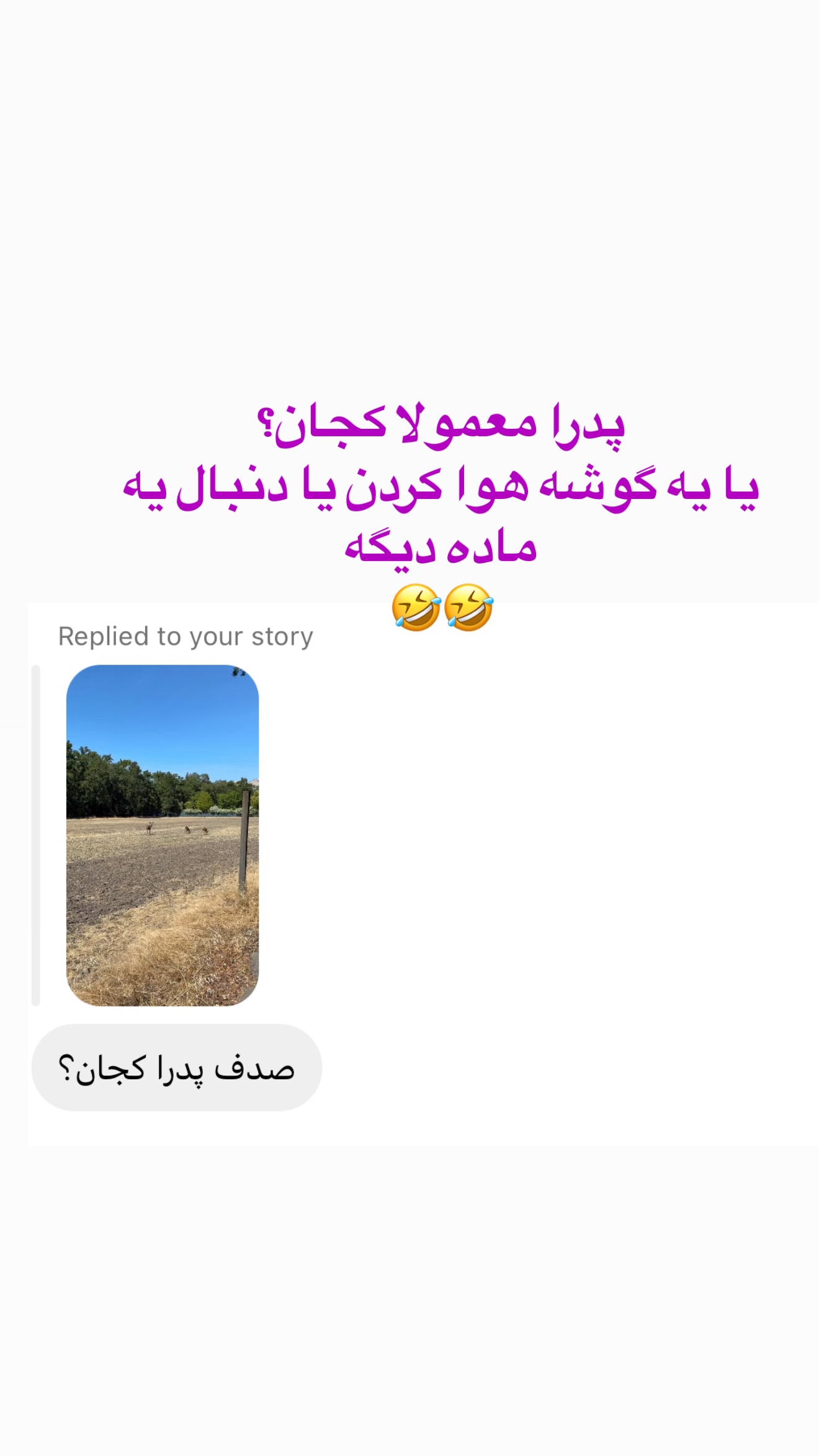  جدید ترین استوری اینستاگرام صدف مسائلی