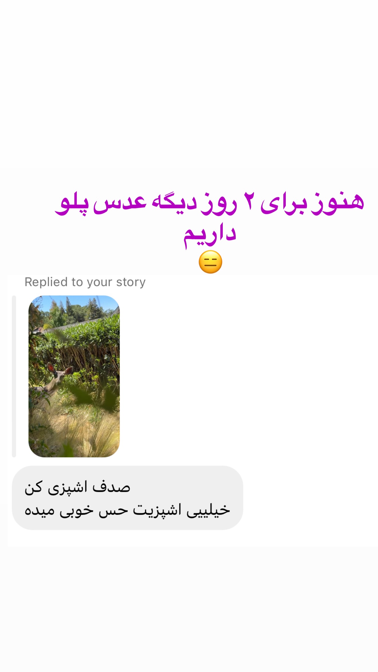  جدید ترین استوری اینستاگرام صدف مسائلی