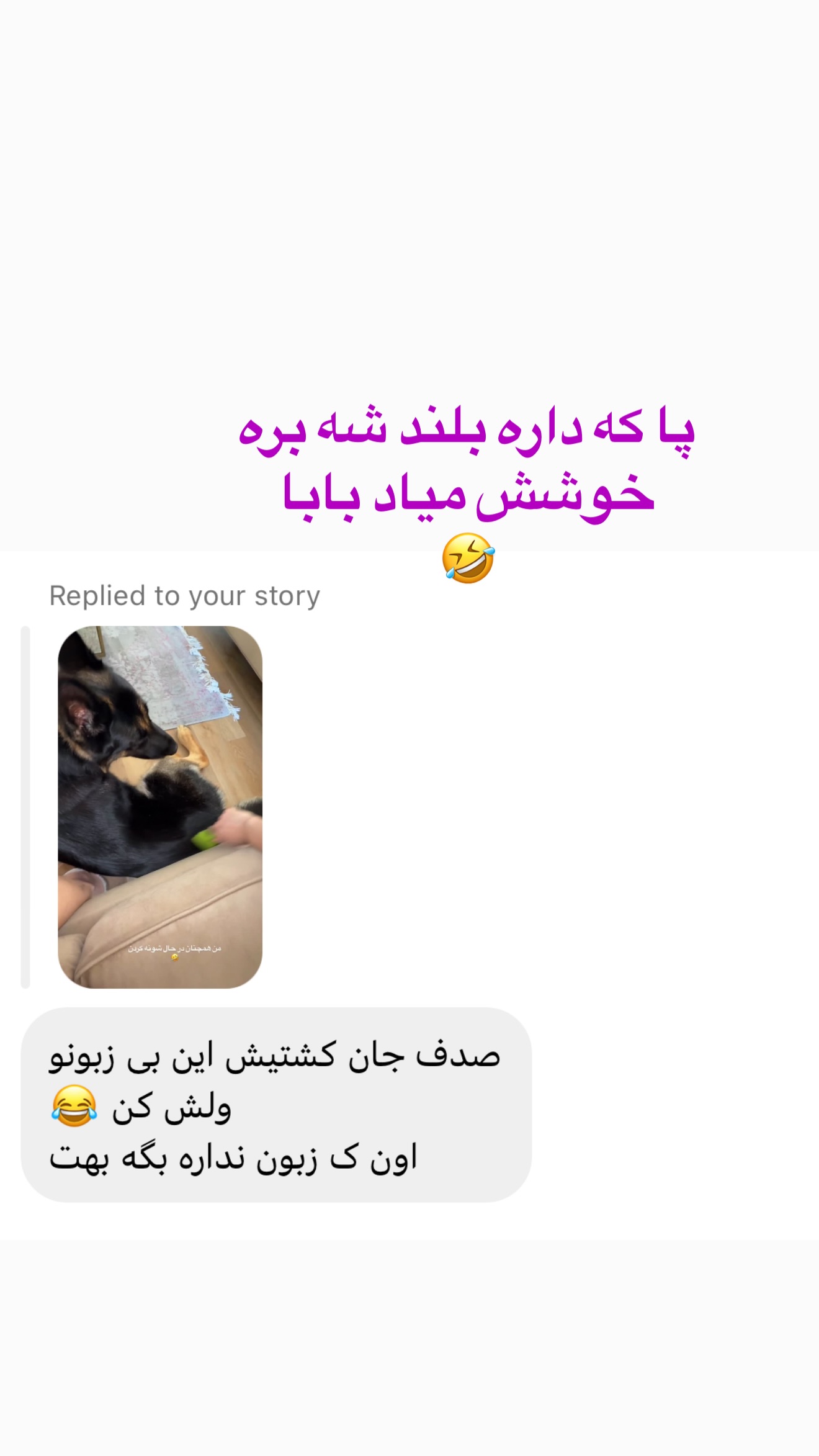 جدید ترین استوری اینستاگرام صدف مسائلی