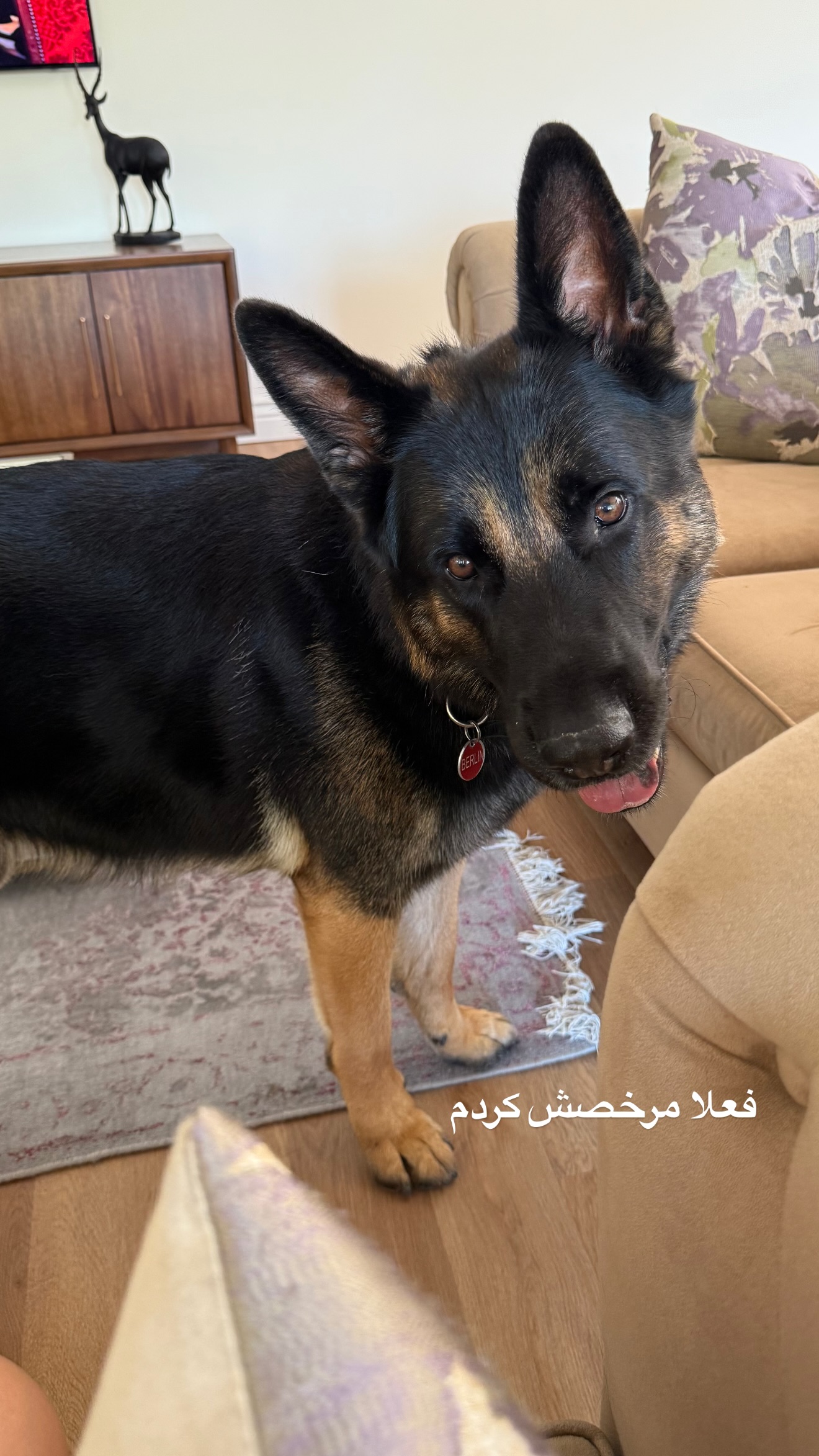  جدید ترین استوری اینستاگرام صدف مسائلی