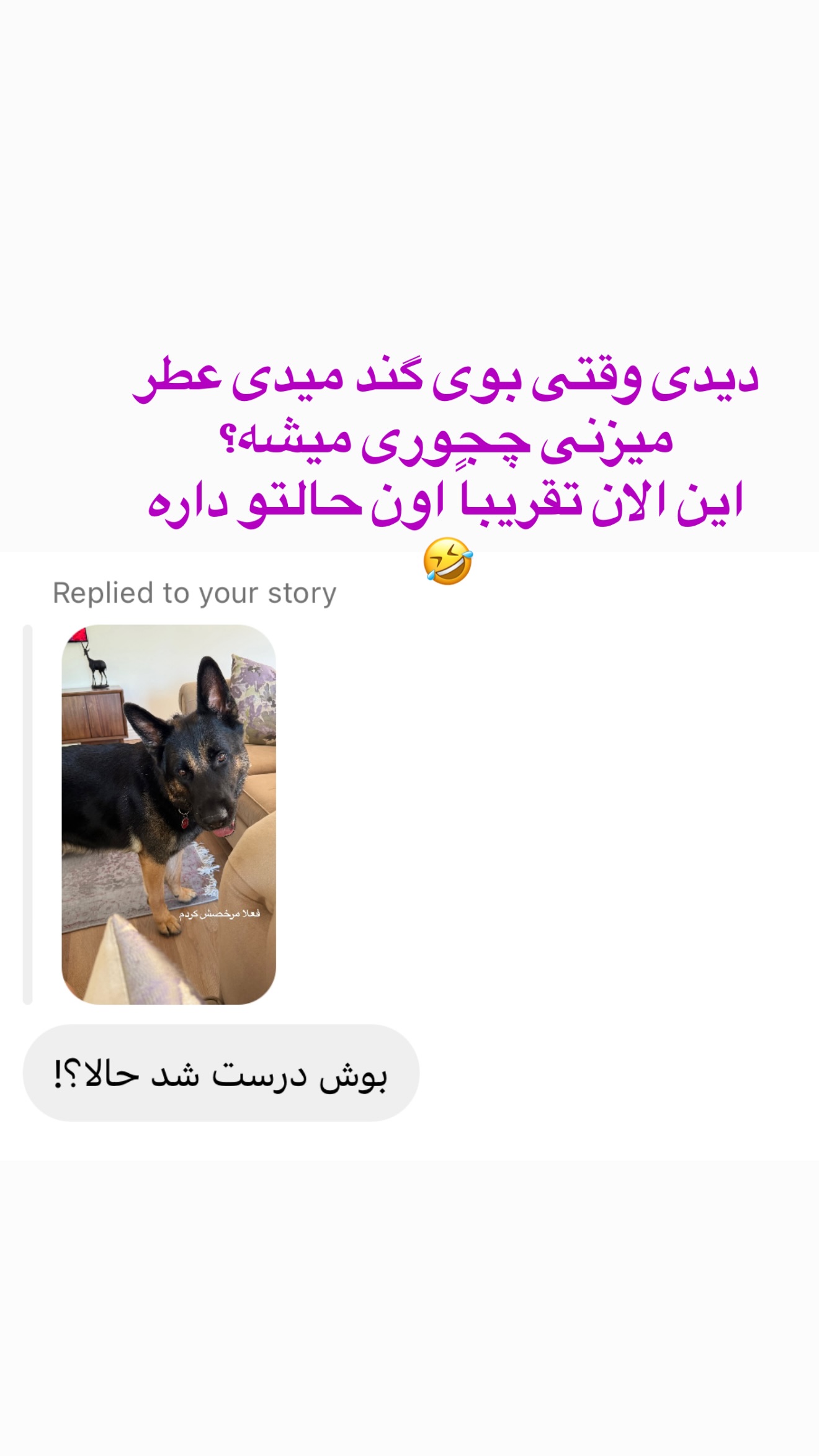  جدید ترین استوری اینستاگرام صدف مسائلی