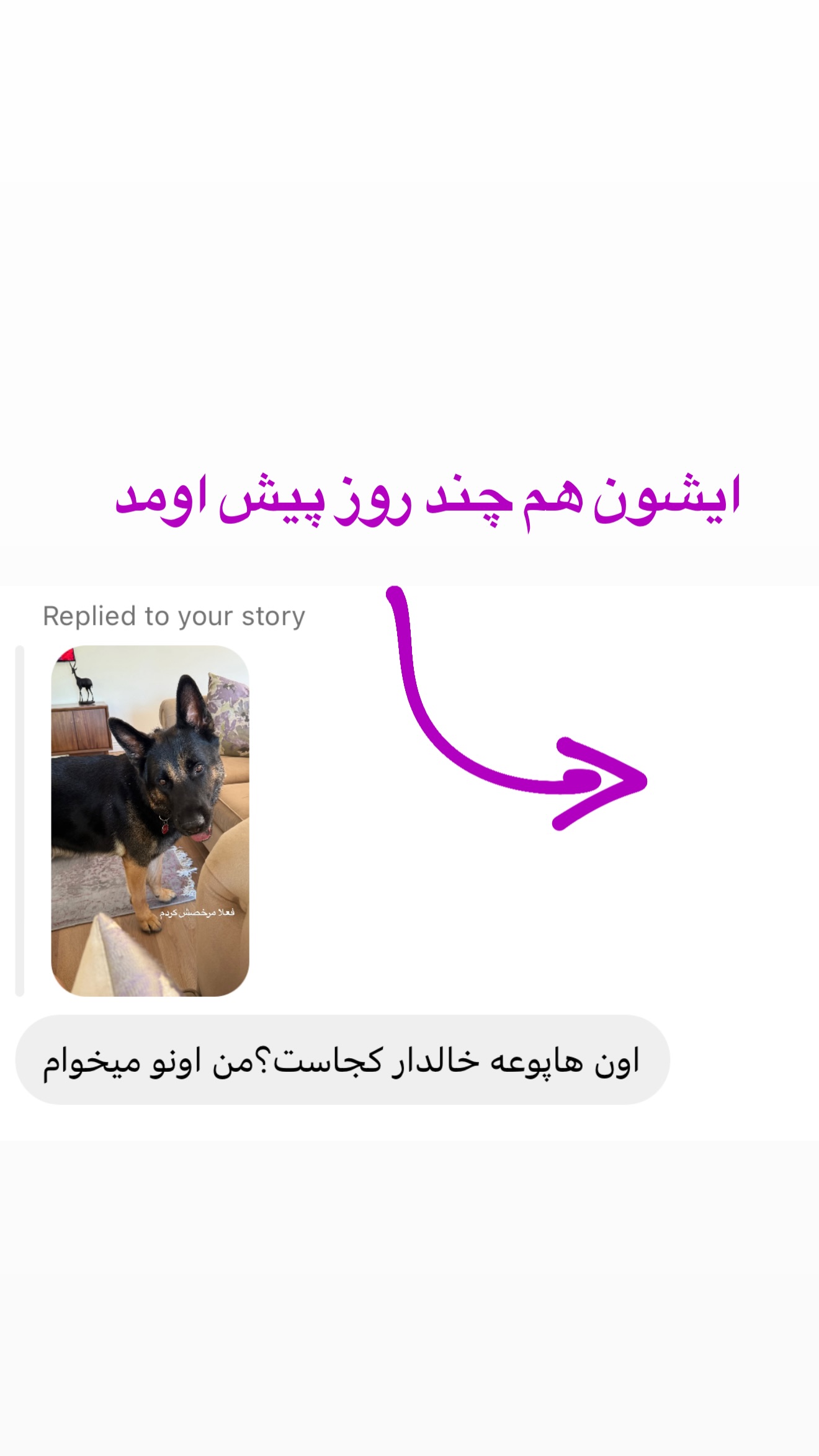  جدید ترین استوری اینستاگرام صدف مسائلی