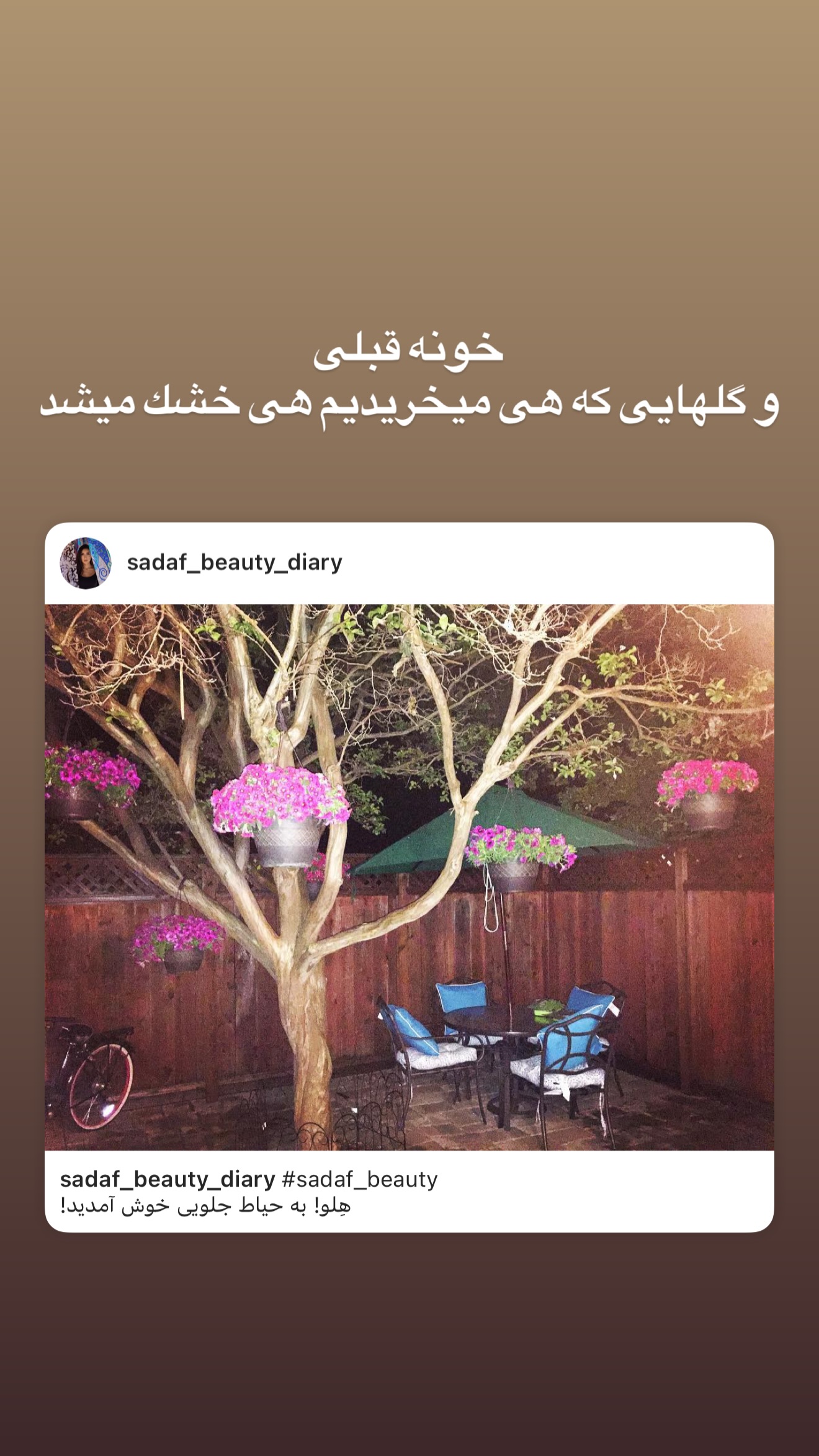  جدید ترین استوری اینستاگرام صدف مسائلی