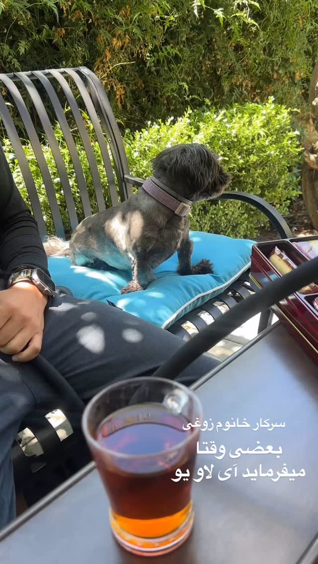  جدید ترین استوری اینستاگرام صدف مسائلی