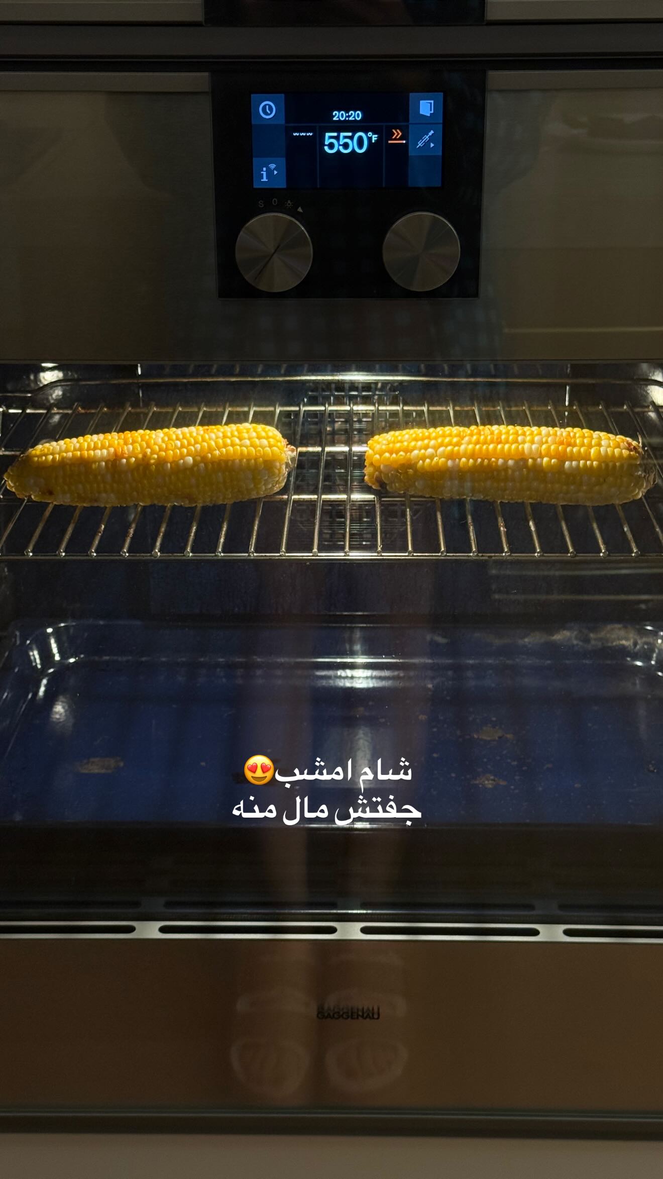  جدید ترین استوری اینستاگرام صدف مسائلی