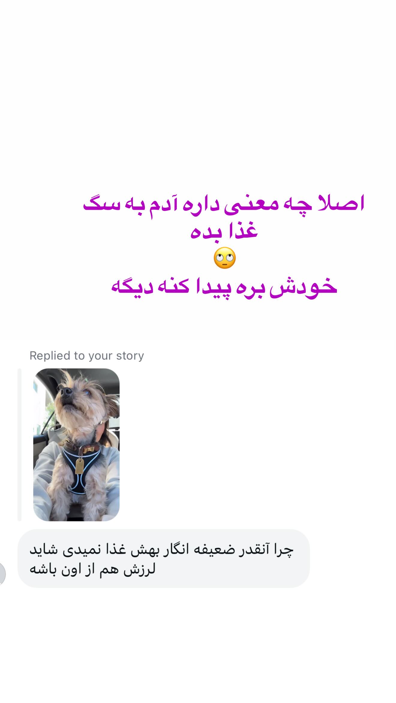  جدید ترین استوری اینستاگرام صدف مسائلی