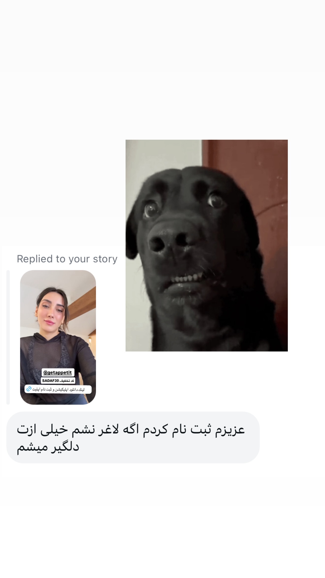  جدید ترین استوری اینستاگرام صدف مسائلی