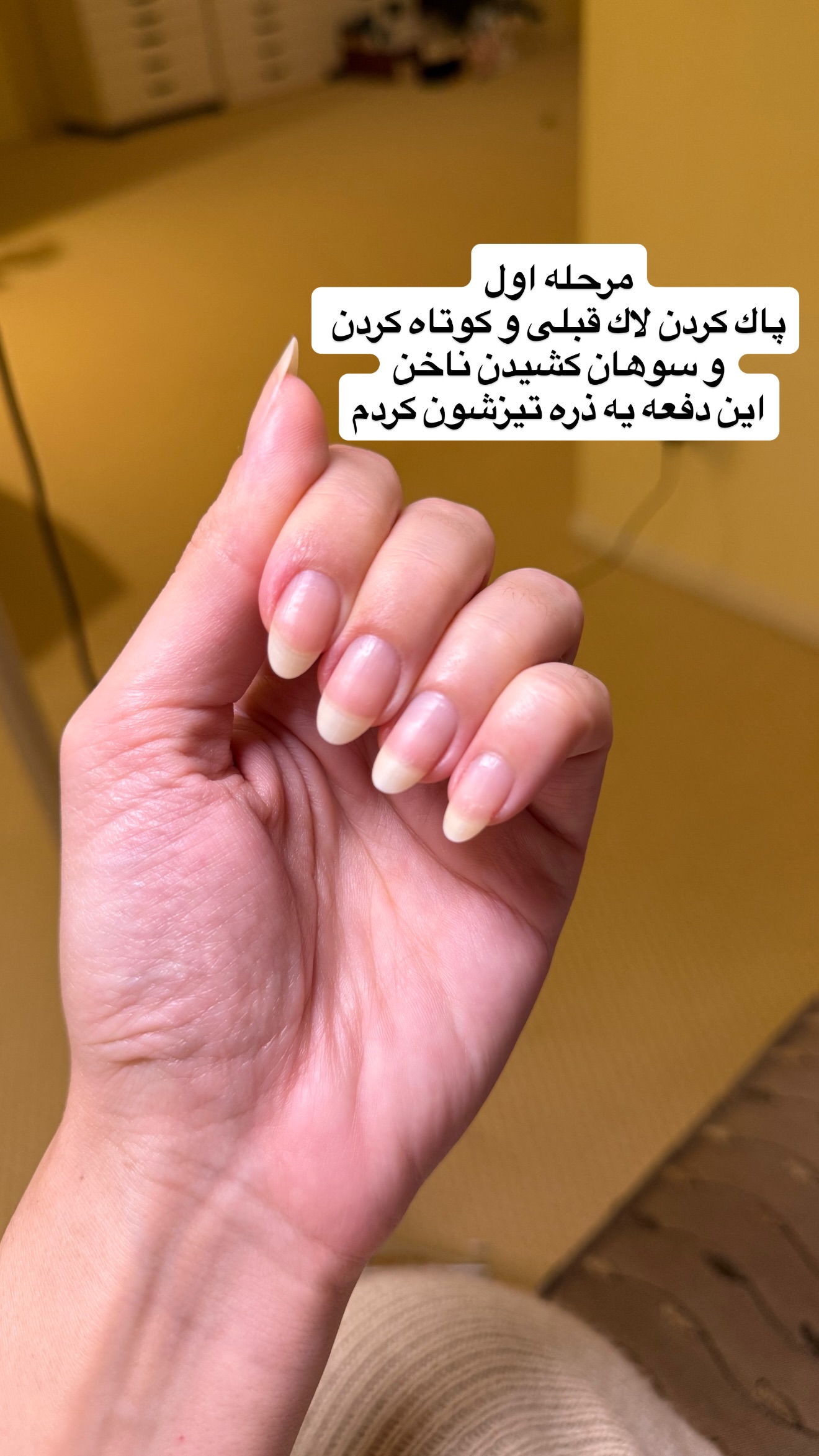  جدید ترین استوری اینستاگرام صدف مسائلی