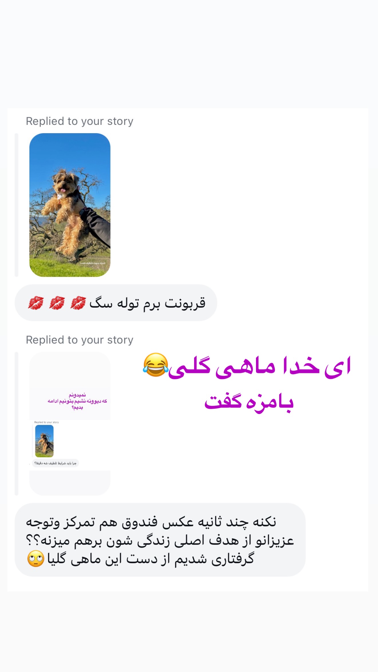  جدید ترین استوری اینستاگرام صدف مسائلی